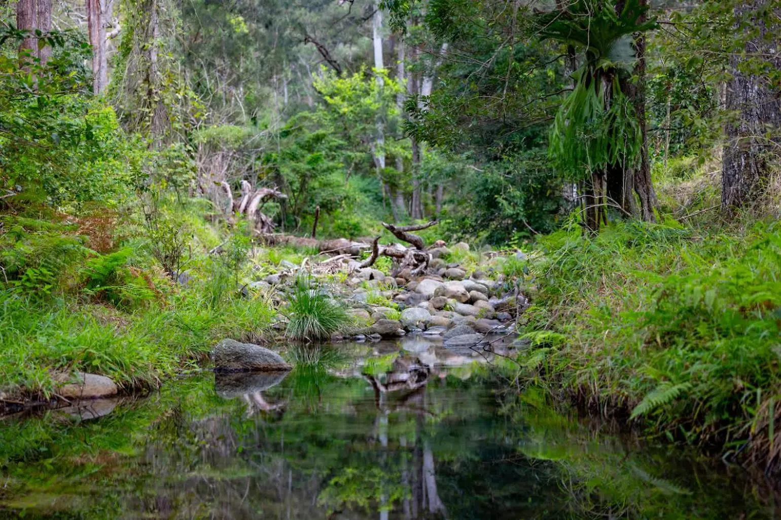 Balgowluh Villa Conondale Australia