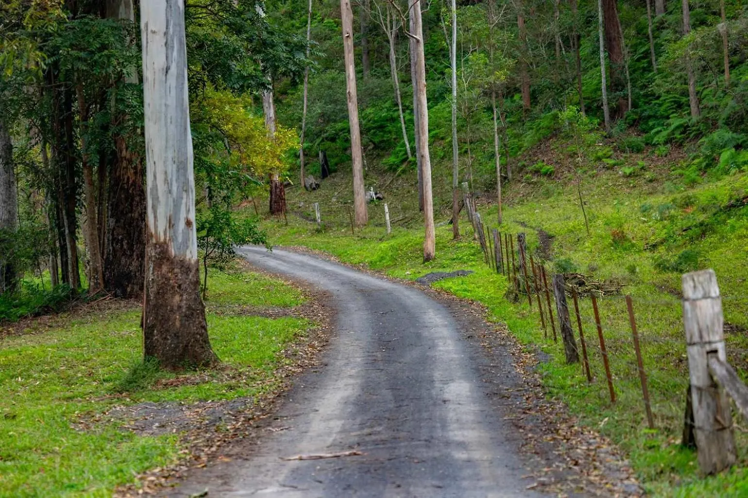 Balgowluh Villa Conondale Holiday home