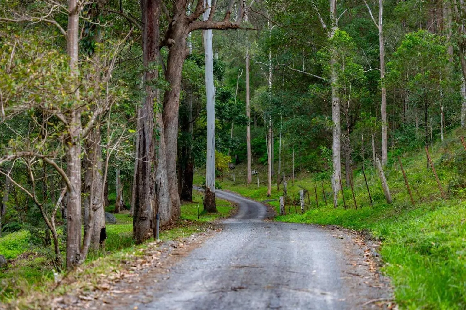 Holiday home Balgowluh Villa Conondale